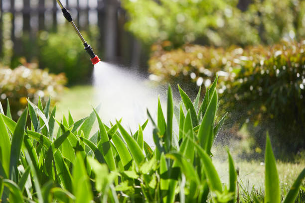 Tamper-Resistant Bait Stations for Rodents in Winfield