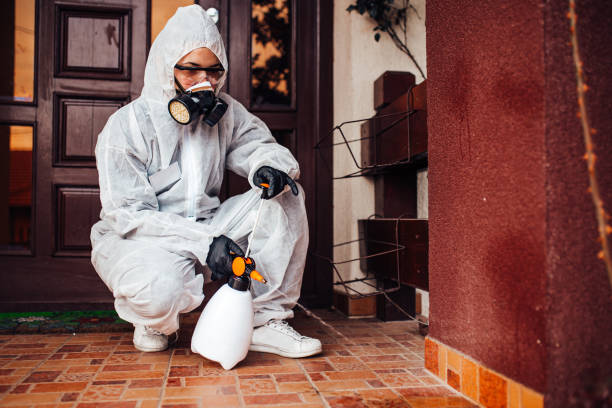 Attic and Crawl Space Rodent Treatment in Winfield