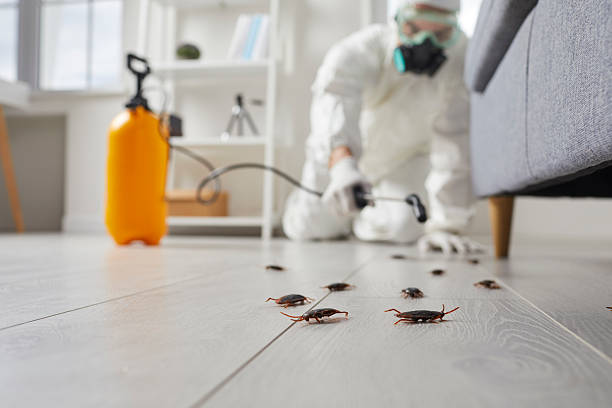 Commercial Rodent Management in Winfield